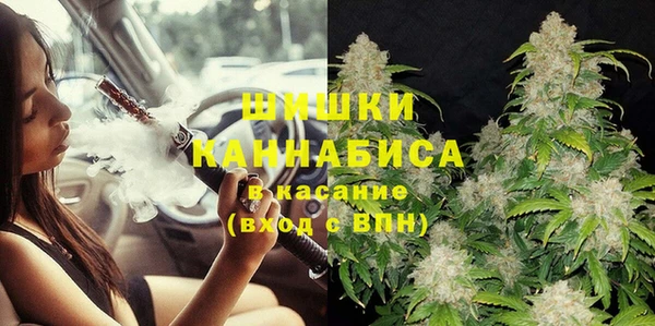 шишки Заводоуковск