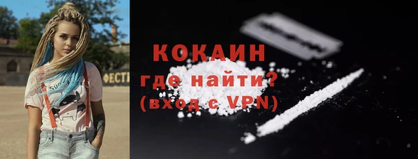 шишки Заводоуковск