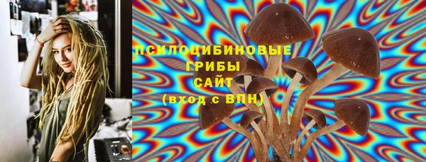 шишки Заводоуковск