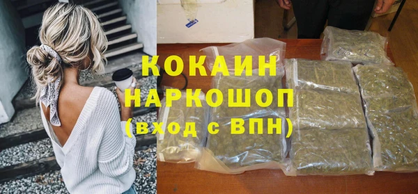 мдпв Елизово