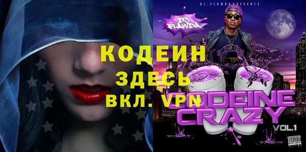 шишки Заводоуковск