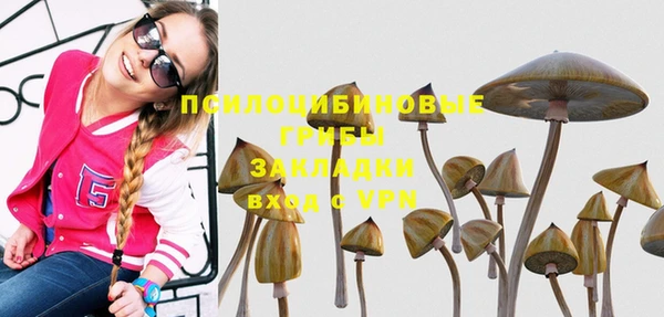 бутират Елабуга