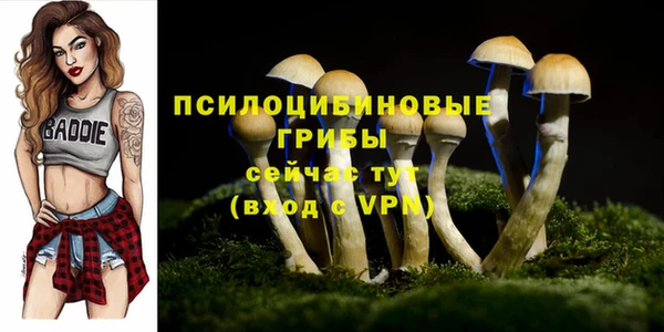 синтетический гашиш Ельня